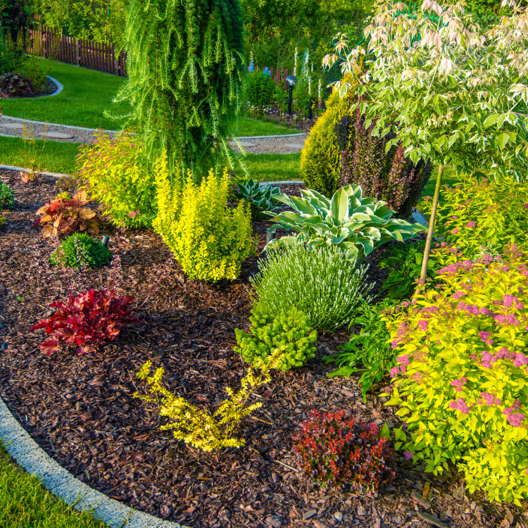 Mulching in Goshen, NY Mulching in Goshen, NY