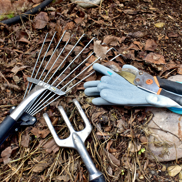 Spring/Fall Cleanup in Goshen, NY