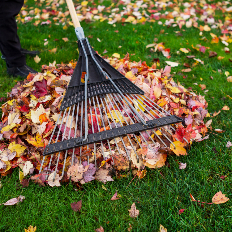 Spring/Fall Cleanup in Goshen, NY